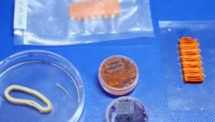 Embrapa Desenvolve Salmão, Caviar e Lula Veganos em Laboratório