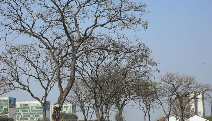 Alerta de Perigo para Baixa Umidade Atinge Dez Estados e DF