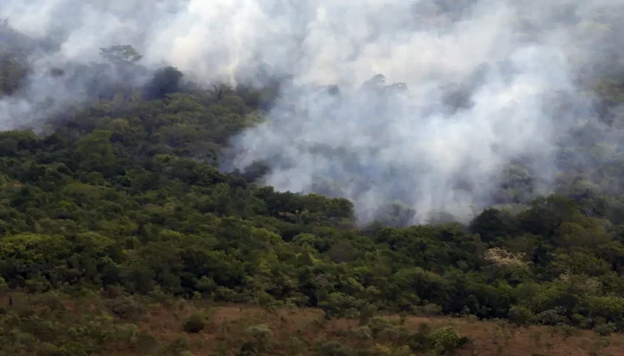Incêndios Globais: Emissão de Carbono em Mínima Histórica