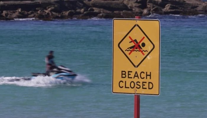 Mulher Gravemente Ferida Após Ataque de Tubarão em Praia de Sydney