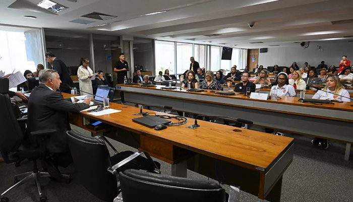 Feirantes do DF: o Medo que Assombra o Sustento e a Tradição