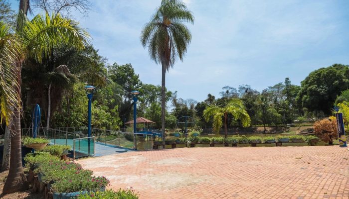 Órgãos e entidades da administração pública direta e indireta têm prioridade no agendamento...