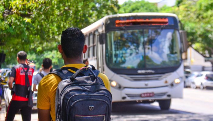 Aline Aparecida dos Santos da Silva