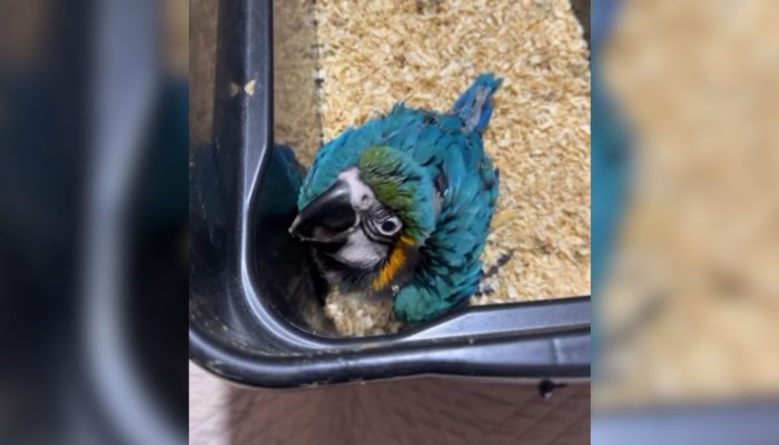 Maria Fernanda da Silva Santos