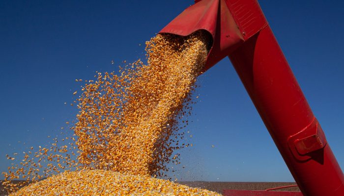 IBGE Projeta Safra Recorde de 347,4 Milhões de Toneladas em 2026