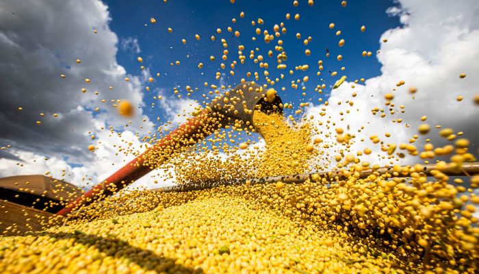 Conab: Safra de Grãos Pode Atingir 358,6 Milhões de Toneladas em 2025/26