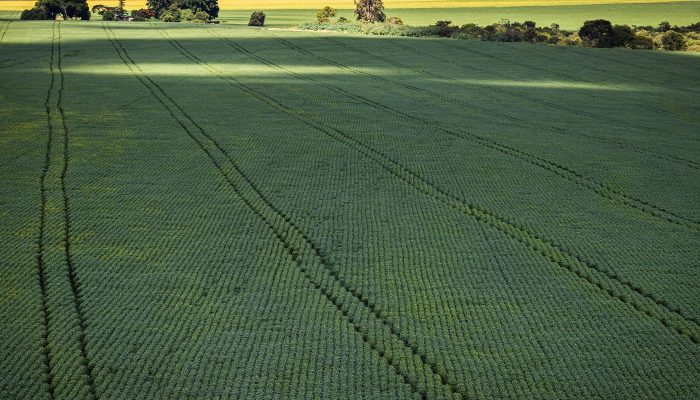 Senado Aprova Plano para Fabricação Nacional de Fertilizantes