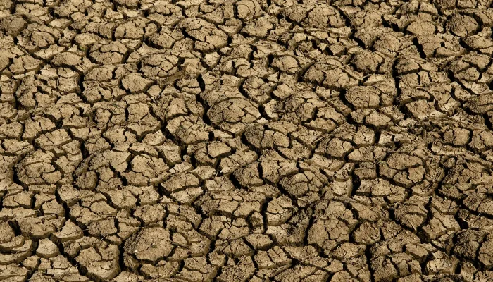 Desertificação Ameaça 39 Milhões de Brasileiros e a Segurança Hídrica