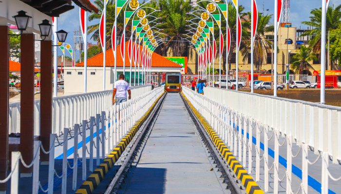 Aline Aparecida dos Santos da Silva