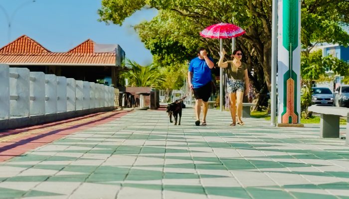 Aline Aparecida dos Santos da Silva