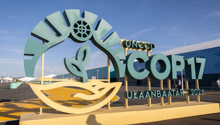 Estados do Nordeste Buscam R$ 1 Bilhão para Caatinga na COP17