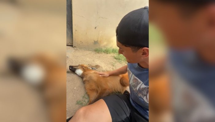 Maria Fernanda da Silva Santos