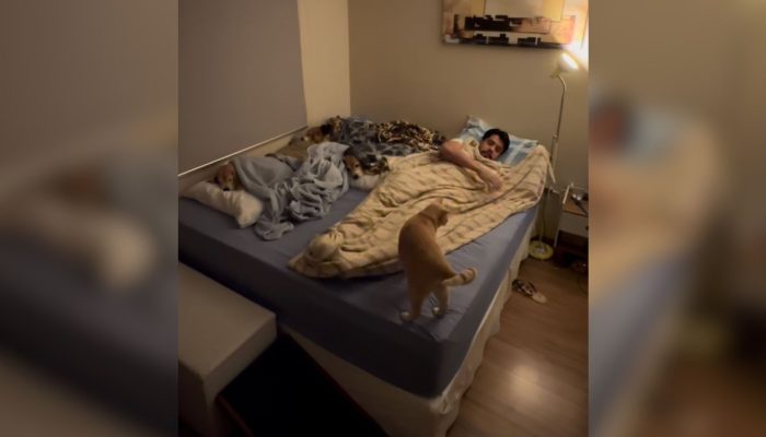 Maria Fernanda da Silva Santos