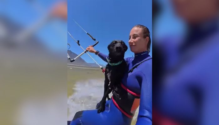 Maria Fernanda da Silva Santos