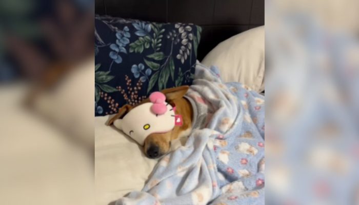 Maria Fernanda da Silva Santos