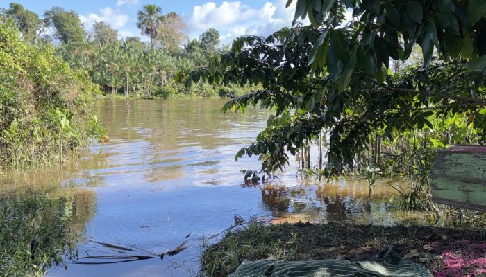Homem com Histórico de Tráfico É Encontrado Morto e Sem Cabeça em Igarapé-miri