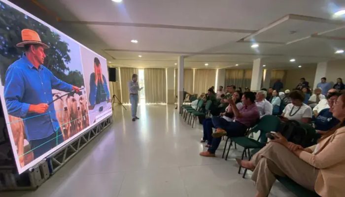 Assessoria de Imprensa Sebrae/MT