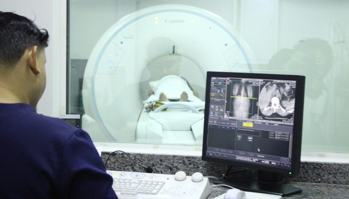 Aline Aparecida dos Santos da Silva