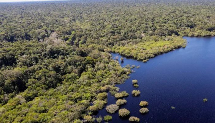 Fundo Amazônia Destina R$ 148,7 Mi para Regularizar Terras na Região