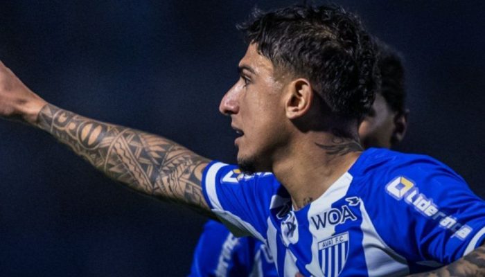 Avaí Vence Chapecoense e SE Aproxima do Título da Copa Sul-sudeste