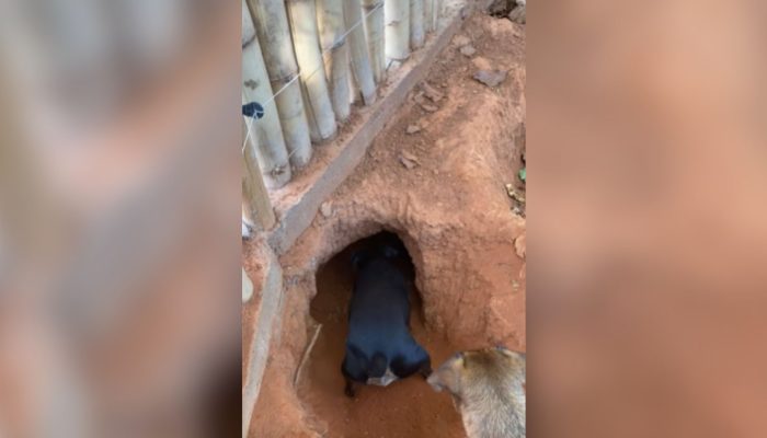 Maria Fernanda da Silva Santos