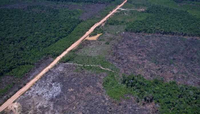 Desmatamento na Amazônia Tem a Maior Queda Desde 2016