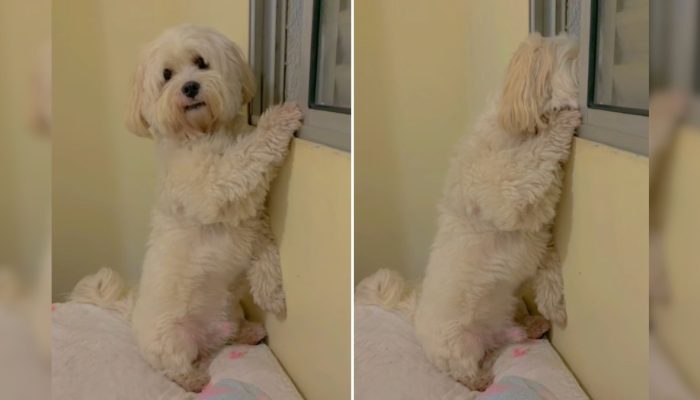 Maria Fernanda da Silva Santos