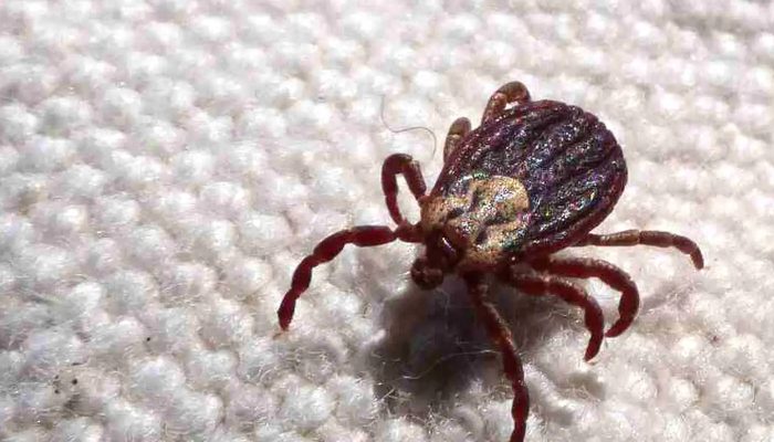 © Prefeitura de Jundiaí