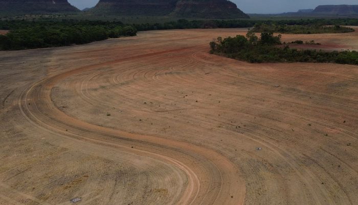 Fim da Moratória da Soja: Risco de Desmatamento de 1,4 Milhão de Hectares na Amazônia