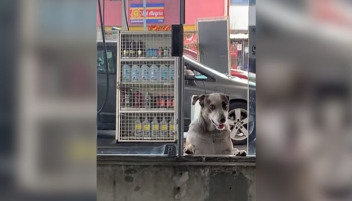 Maria Fernanda da Silva Santos