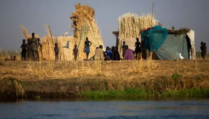 Fome Mundial Cai, Mas Afeta 645 Milhões; África É a Mais Atingida
