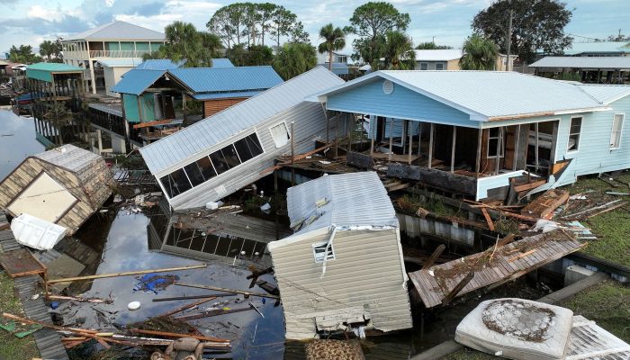 Tubarões Ajudam a Prever Furacões com Sensores em Águas Amazônicas