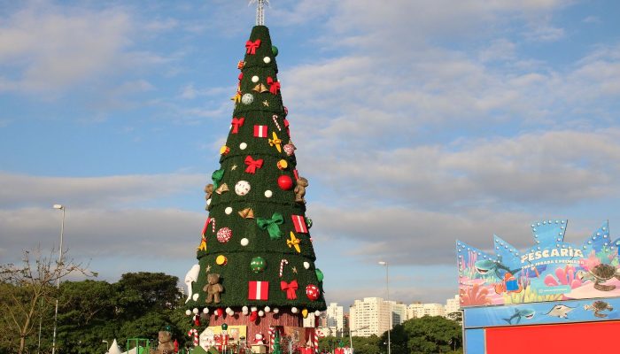 © Rovena Rosa/Agência Brasil