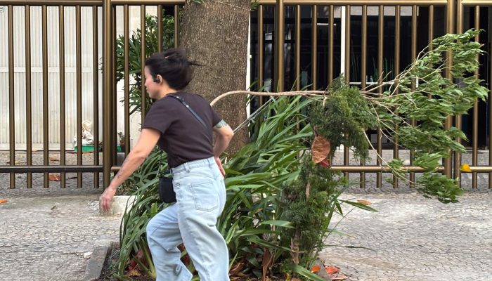 Alerta de Ventos Fortes no Sudeste Ignora Amazônia