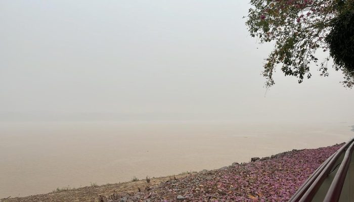 Estrada de Ferro Madeira Mamoré. Comparação entre 2024 (à esquerda) e 2025 (à direita). — ...