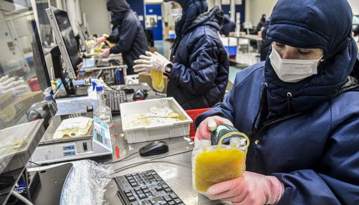 Dispensa de Licitação para Hemobrás: Impacto na Amazônia