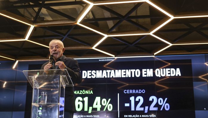 Desmatamento na Amazônia Tem Queda Histórica de 61,4% em Maio