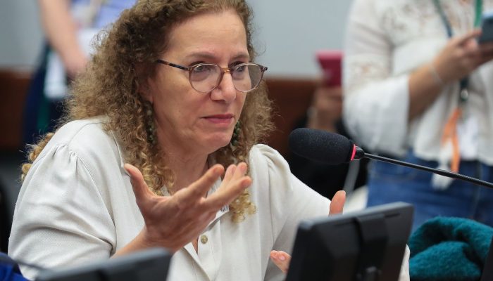 Parlamentares Buscam Contraponto a Narrativas de Direita nos EUA