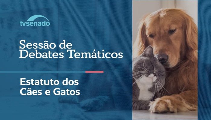 Estatuto dos Cães e Gatos: Plenário do AP em Debate Acalorado