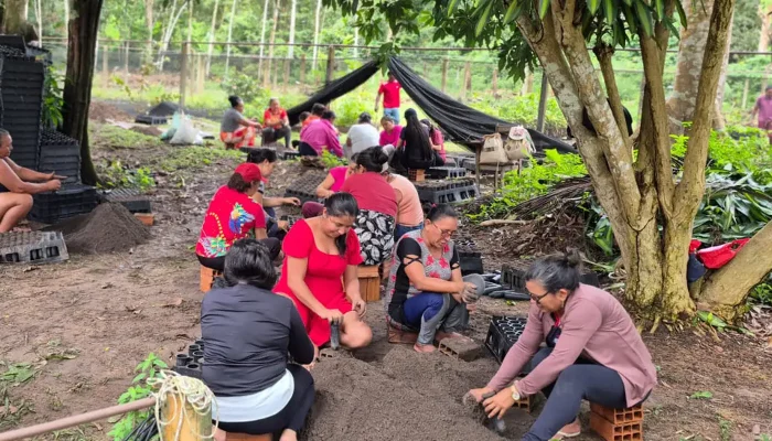 Mulheres da Amazônia Lideram Combate Às Mudanças Climáticas