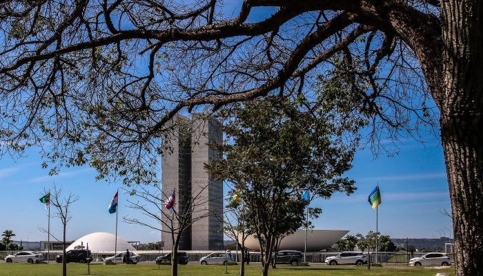 Congresso Endurece Leis Contra Crimes Sexuais Digitais Contra Crianças
