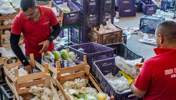 Plano Safra 2026/2027: R$ 97,3 Bilhões para Agricultores Familiares