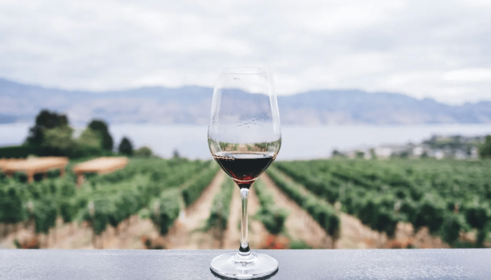 Tarifas dos EUA Derrubam Exportações de Vinho Brasileiro